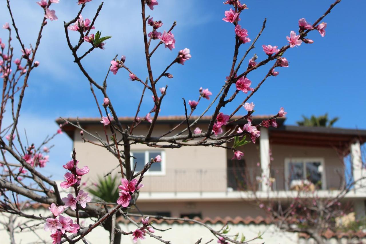 Bed and Breakfast Residenza Anna Calabria Briatico Exterior foto
